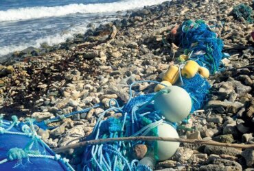 Much of the ocean trash washes ashore before it returns to sea and further degrades into tiny bits. Photo: Claudia Reshetiloff www.HealthThatFits.com