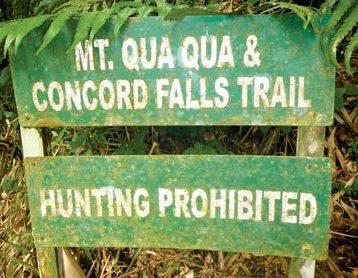 The start of the Mount Qua Qua and Concord Falls trails. Photo by Rosie Burr