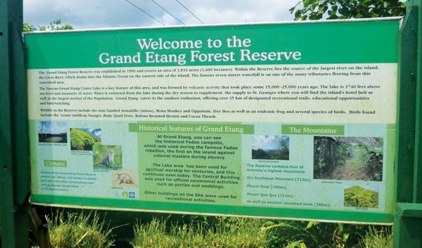 The Grand Etang Forest Reserve has 35km of trails – the lake is 1740ft above seas level. Photo by Rosie Burr