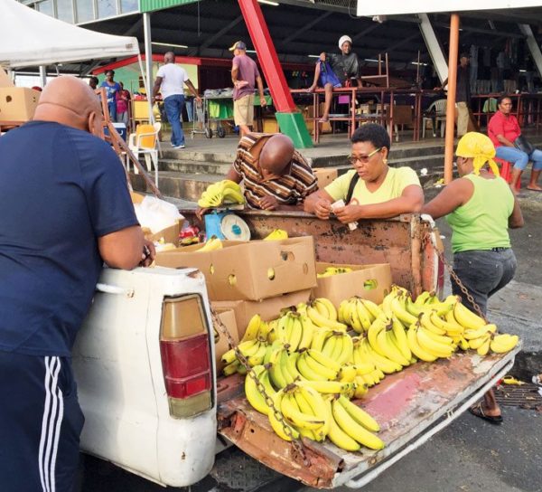 Going bananas. Photo by Lorraine Escher