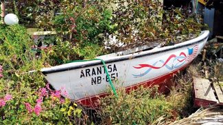 Bringing traditional fishing boats back to life. Only a few months ago Arantsa was found in a back yard, covered in weeds. Photo by Els Kroon