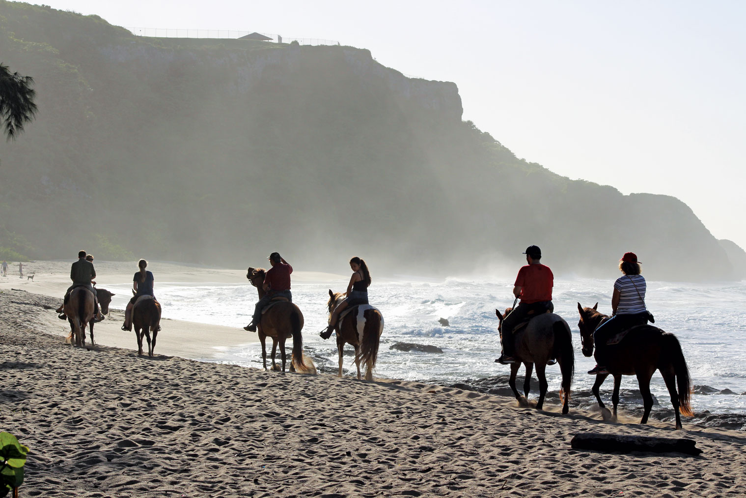 8 Great Places to Horseback Ride in the Caribbean ALL AT SEA