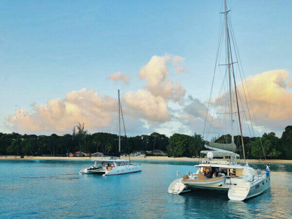 Catamarans in Barbados. Credit Patrick Lalonde - Unsplash