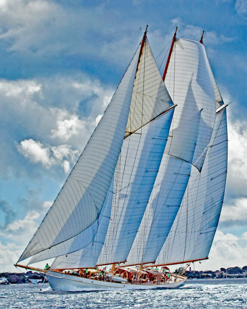 Courtesy Barbados Sailing Week