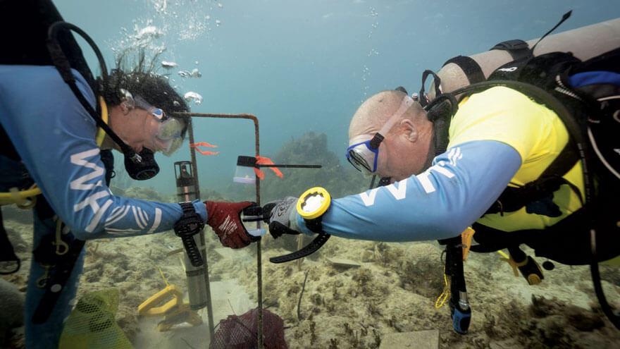 WHOI biologists Nadège Aoki (L) and Aran Mooney install an underwater speaker system. Photos by Dan Mele ©Woods Hole Oceanographic Institution