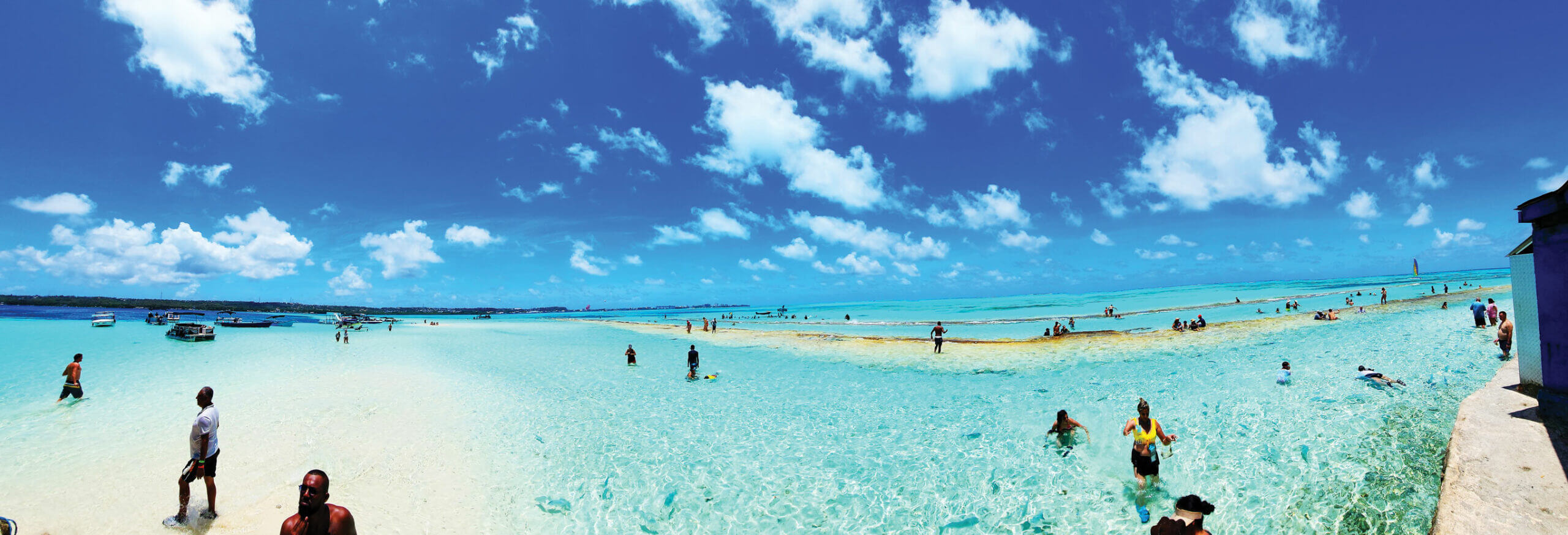 Rose Island