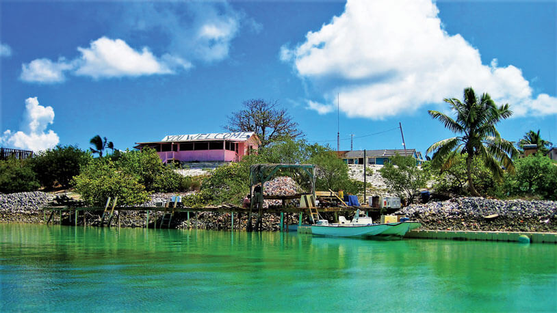 Flo's Conch Bar, Little Harbor