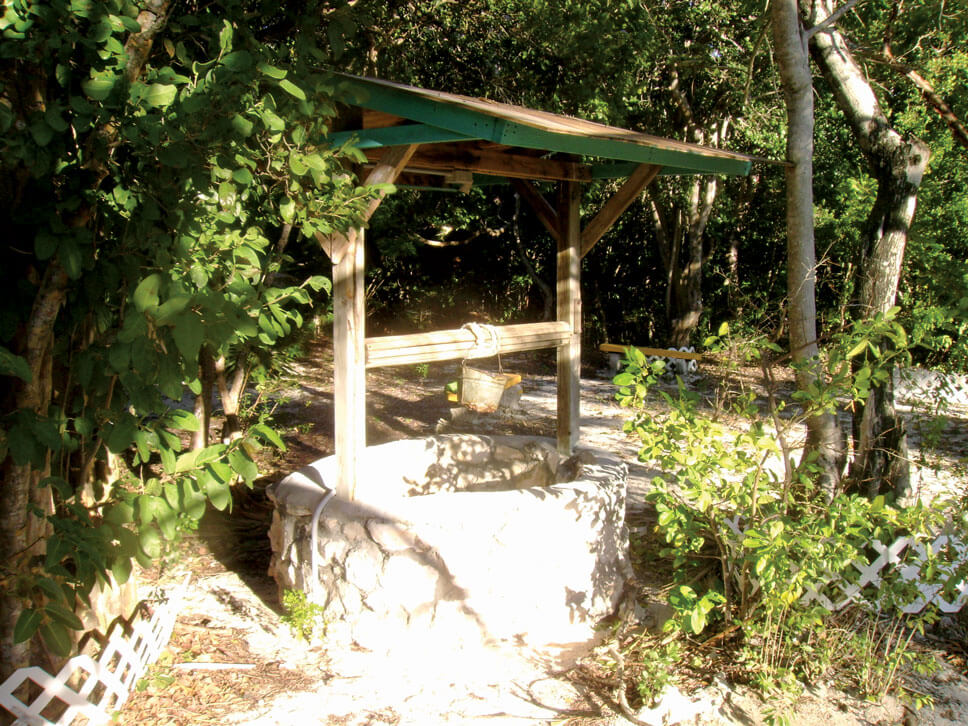 Fountain of Youth, Bimini