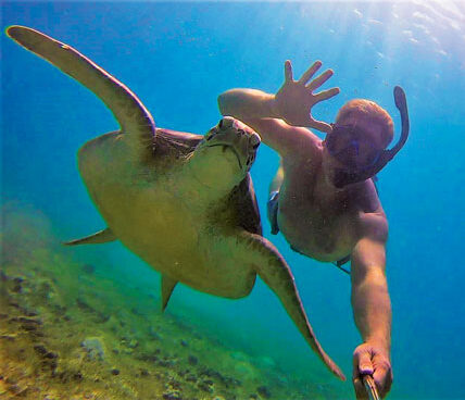 Salt Pond - Turtle Selfie