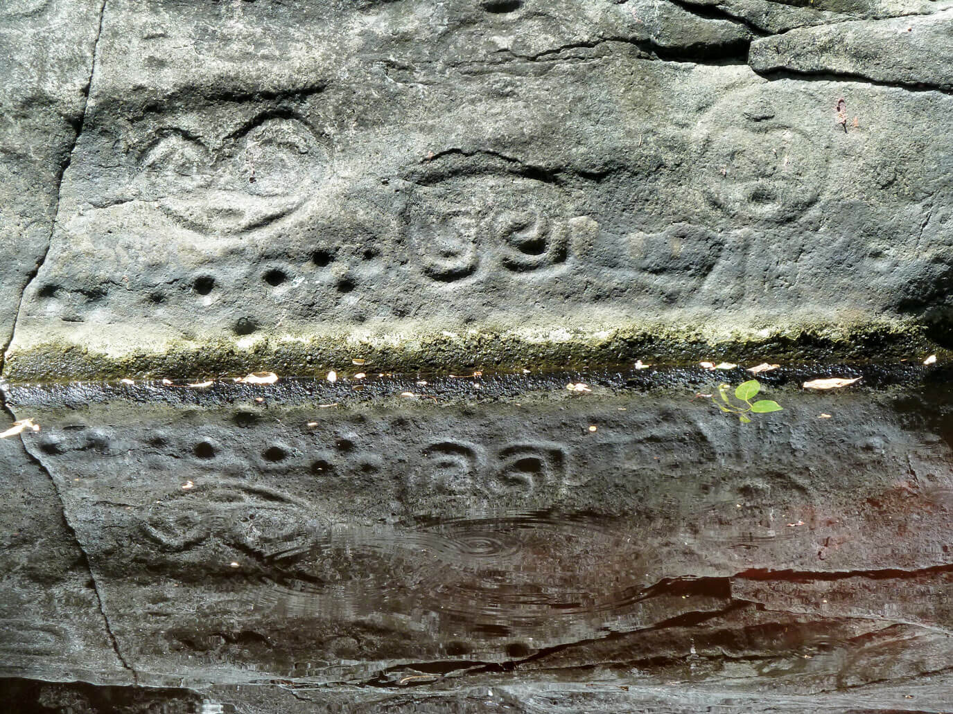 Reef Bay - Petroglyphs