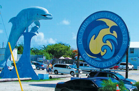 Dolphin Reseach Center