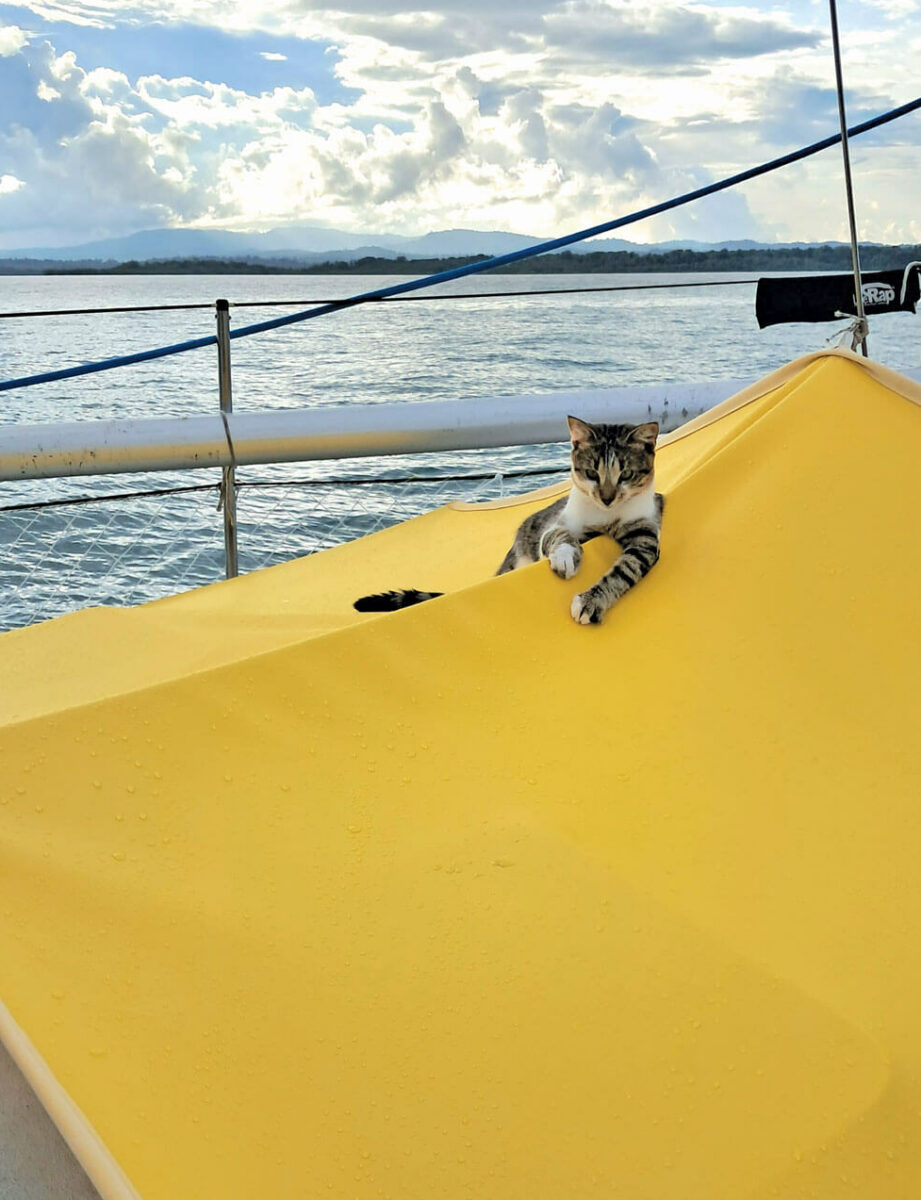 Bouncy castle, also known as deck awning. Photo by Birgit Hackl and Christian Feldbauer
