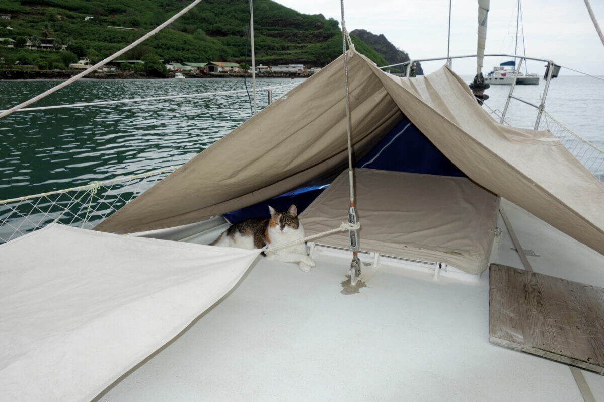 Winter cover did not fit well enough. Photo by Birgit Hackl and Christian Feldbauer