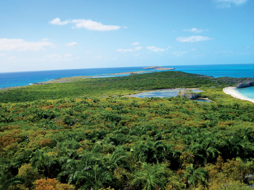 Flamingo Cay - From Tower