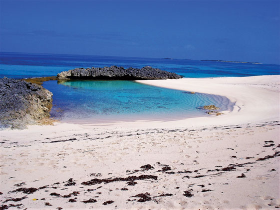Baracorde Pools