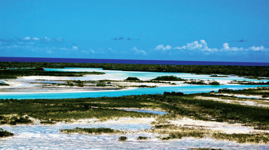 Conception Island