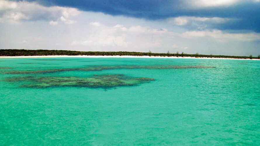 Flamingo Bay - Reef