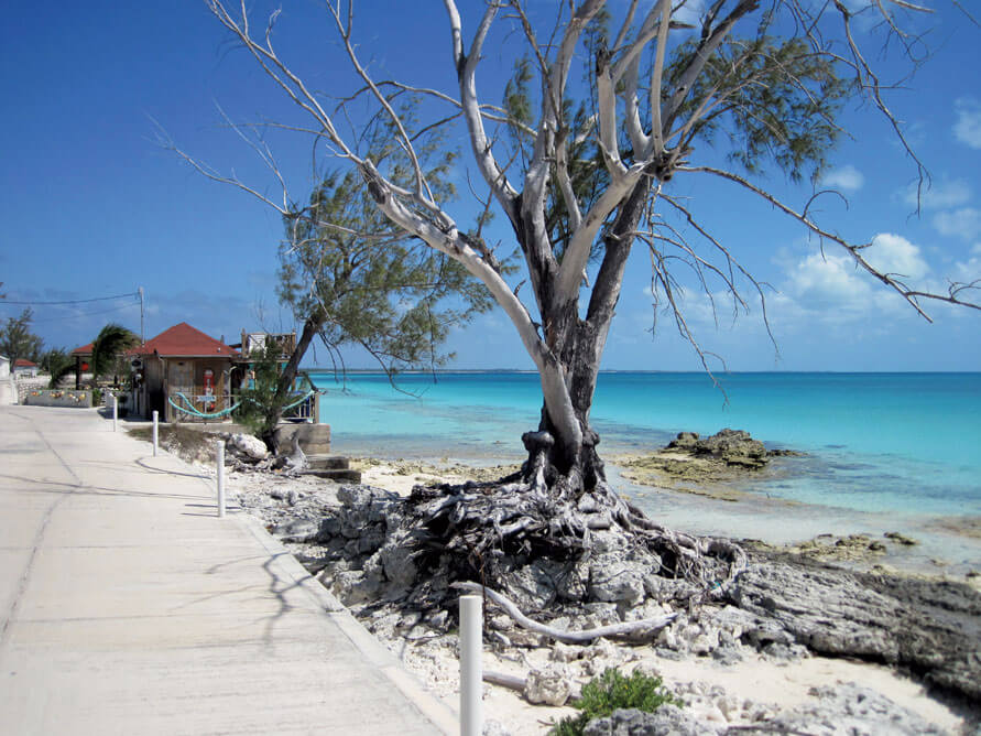 Cat Island Bight