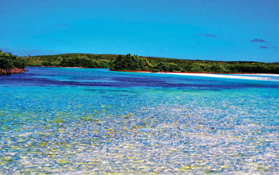 Rum Island Salt Pond