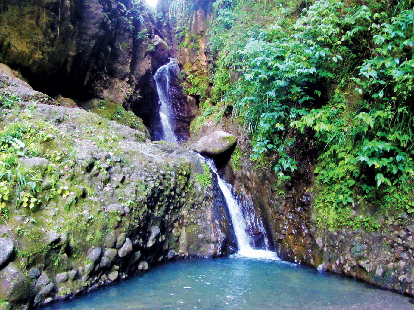 Rain forest hiking trail near Canaries, St. Lucia