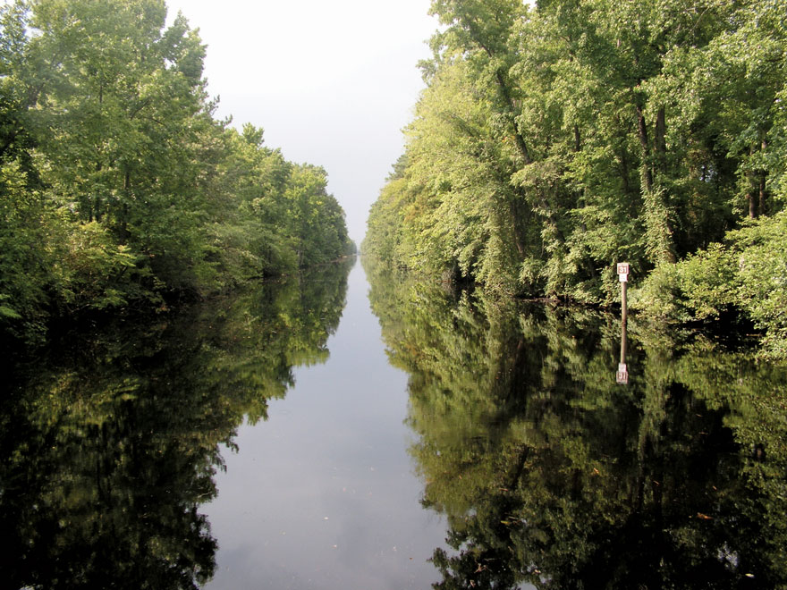 Dismal Swamp - Canal