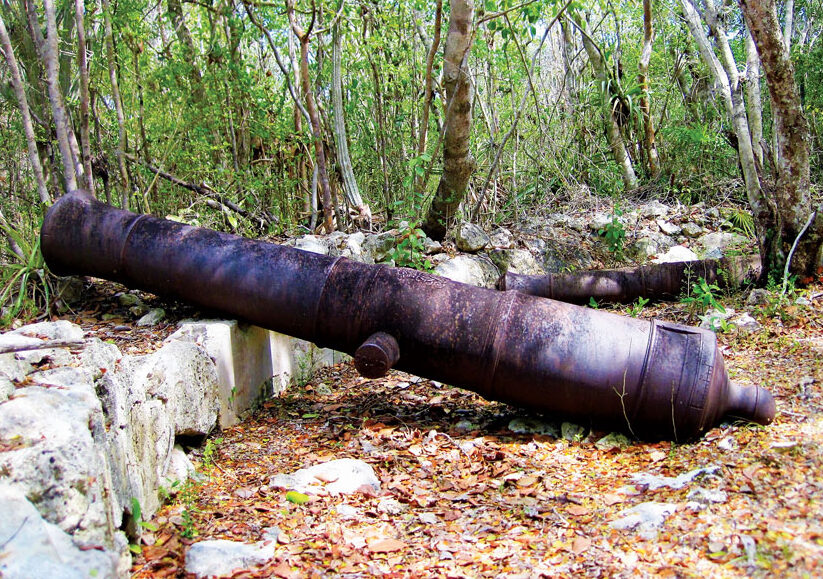 Marine Farm Battery - Cannon