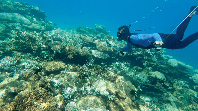 Filming the transect. Photos by Christian Feldbauer, Tom & Sonja planet - ocean.org, Thorsten Schrader