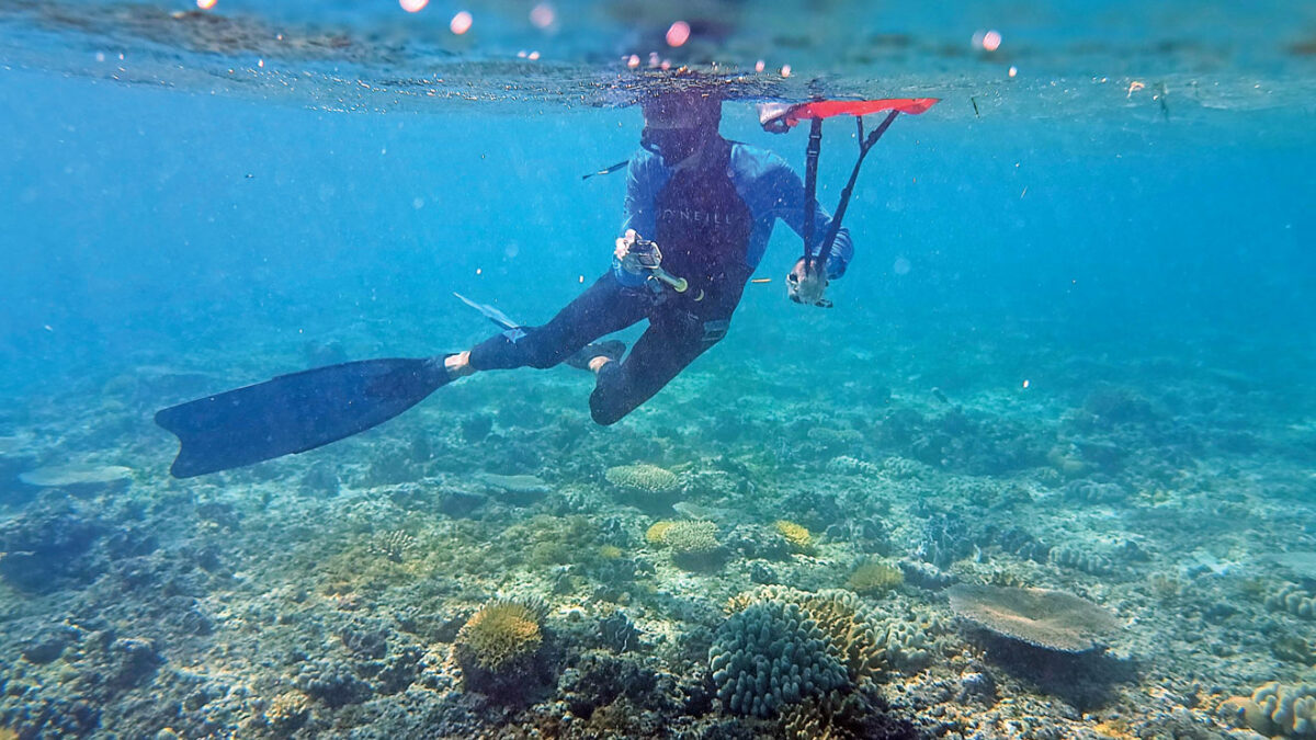 Getting ready to start a video transect. Photos by Christian Feldbauer, Tom & Sonja planet - ocean.org, Thorsten Schrader