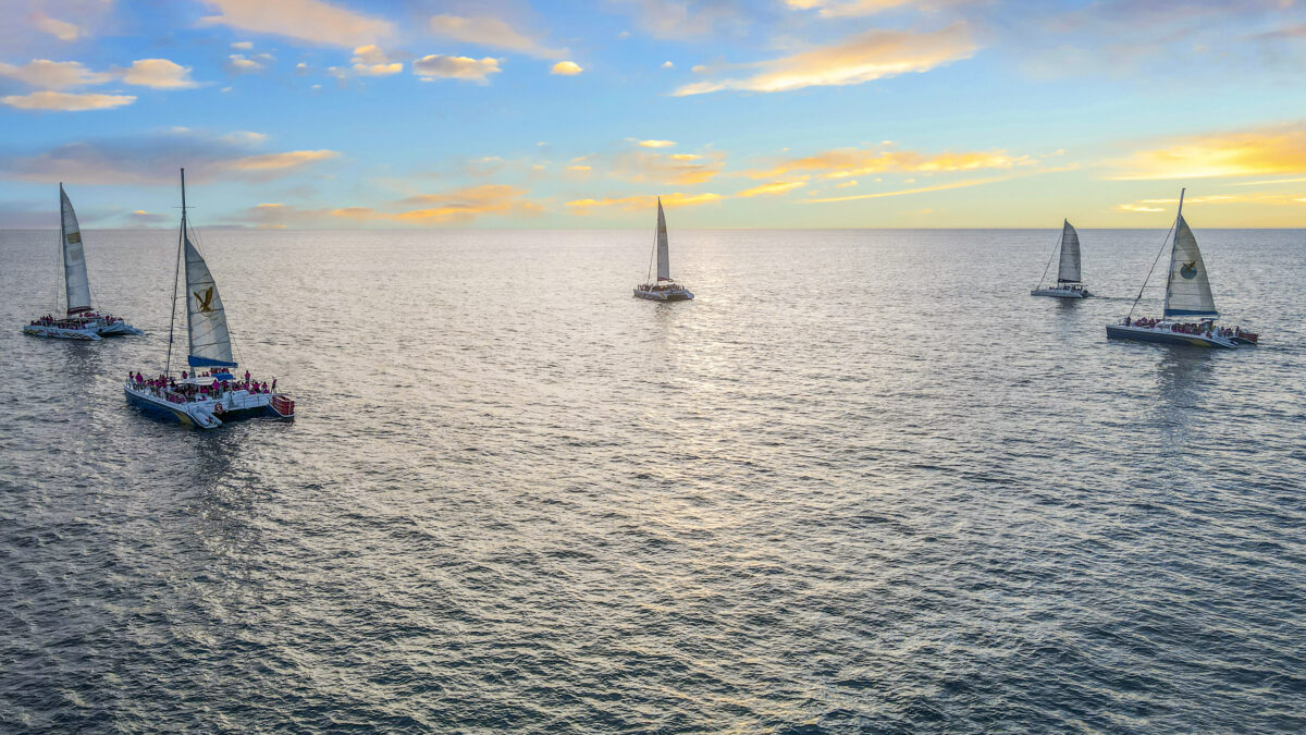 Pink Sunset Sail