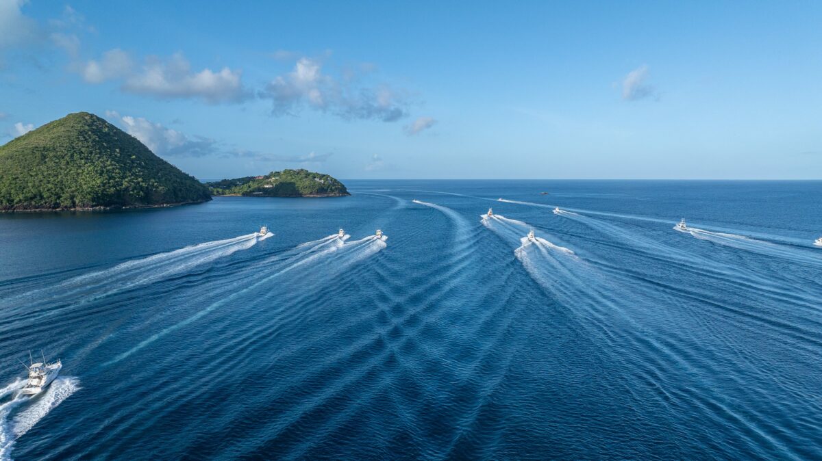 Sportfishing boats at the St. Lucia International Billfish Tournament, Rodney Bay Marina
