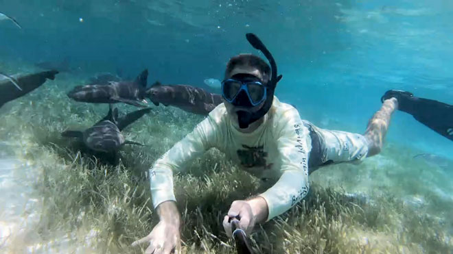 Swimming With Sharks